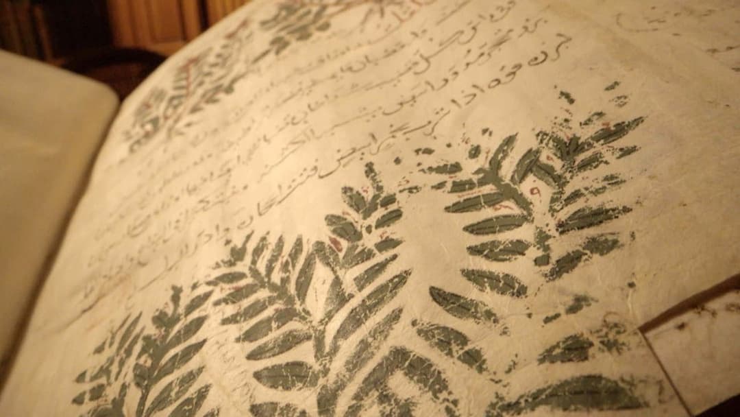 Das vergessene Erbe der arabischen Heilkunst backdrop 4