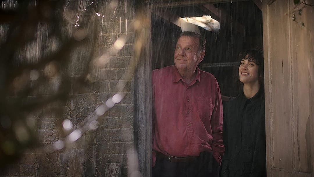 Чарівні чудові backdrop 9