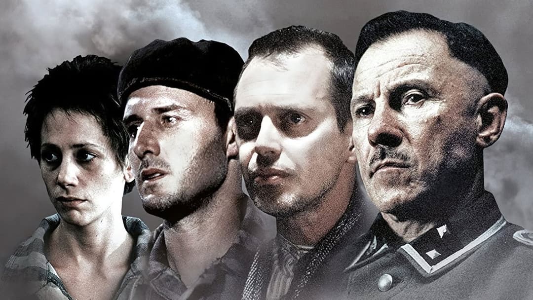 The Grey Zone backdrop 1