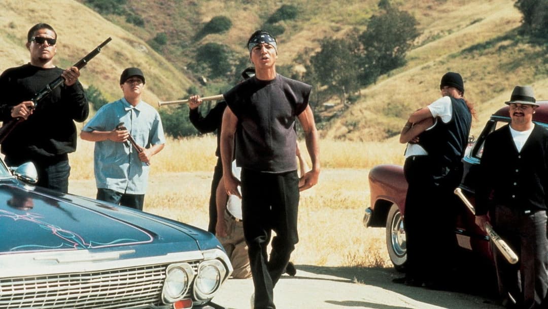 Blood In Blood Out - Verschworen auf Leben und Tod backdrop 3