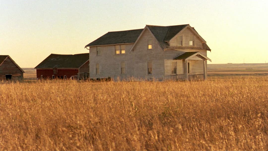 Schrei in der Stille backdrop 13