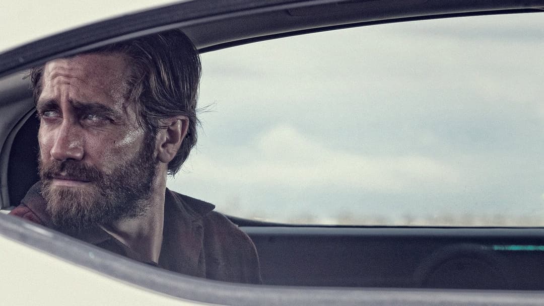 Nocturnal Animals backdrop 7