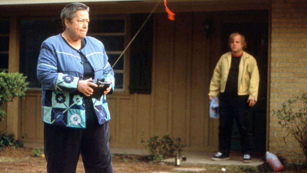 Love Liza backdrop 5