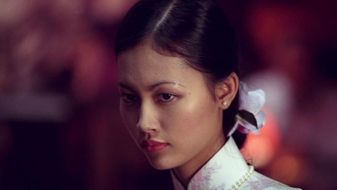 Тихий американець backdrop 5