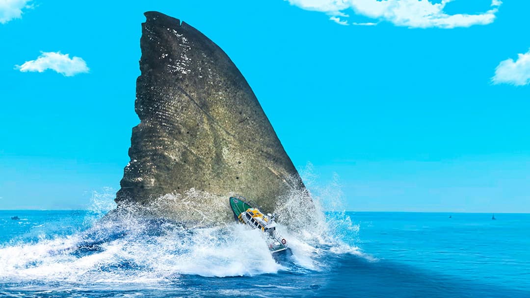 Meg 2 - Die Tiefe backdrop 15