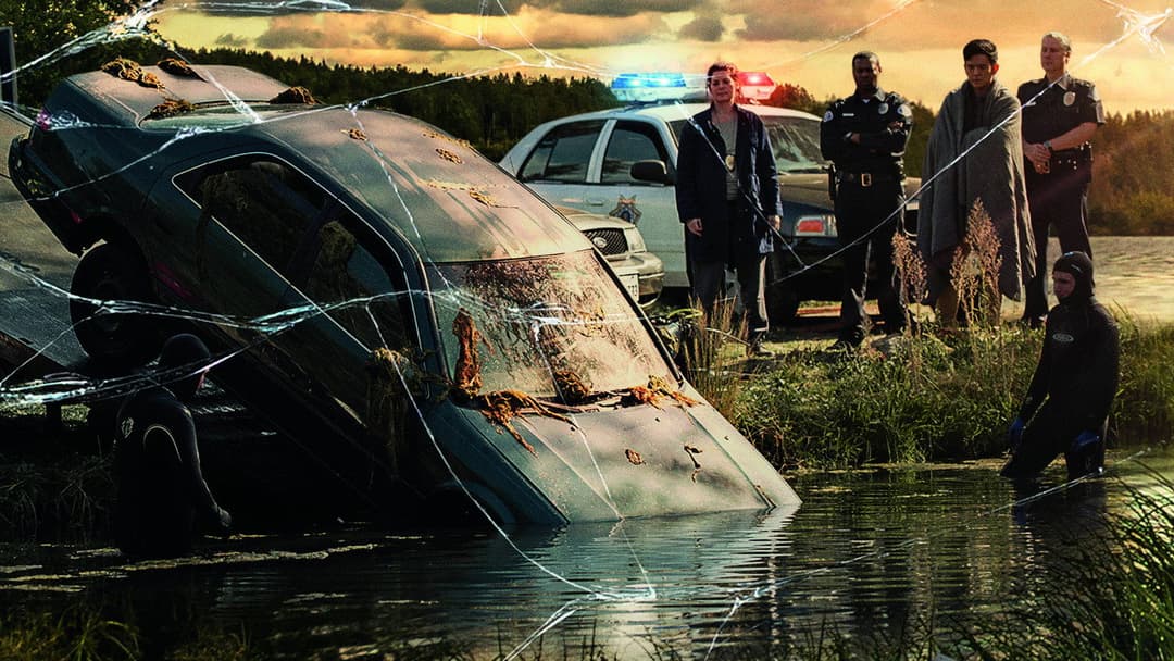 Searching backdrop 6