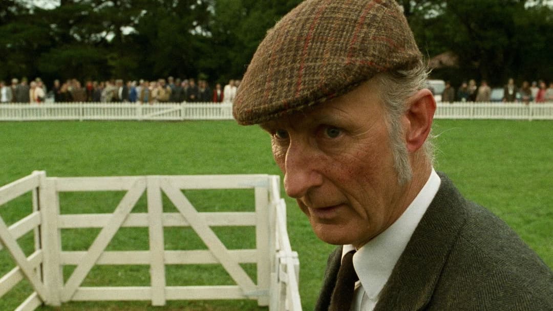 Бейб backdrop 10