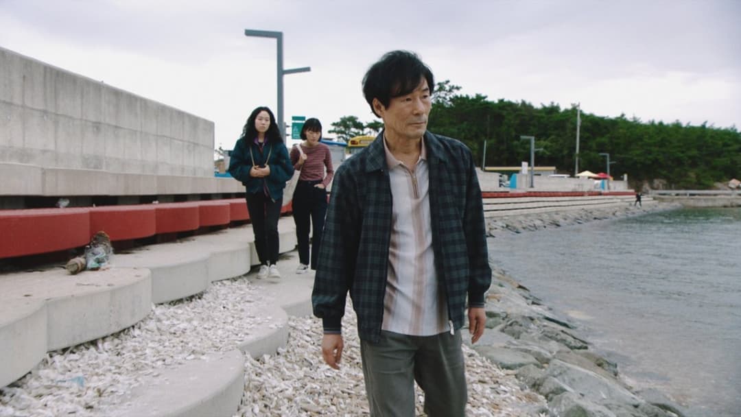 Повернення в Сеул backdrop 5