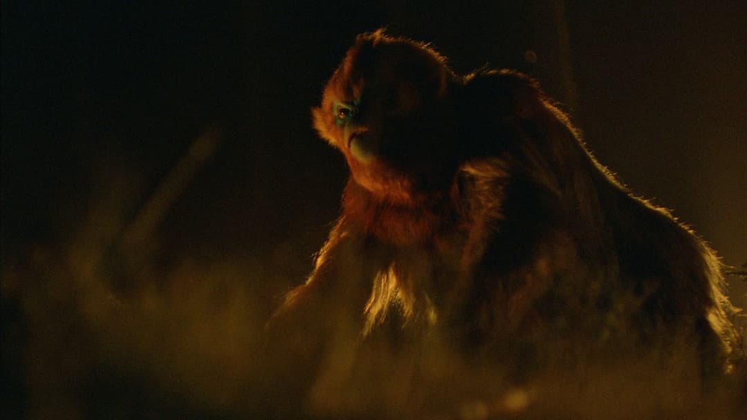 Очі: Легенда Карпат backdrop 18