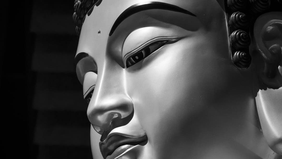 大佛普拉斯 backdrop 5