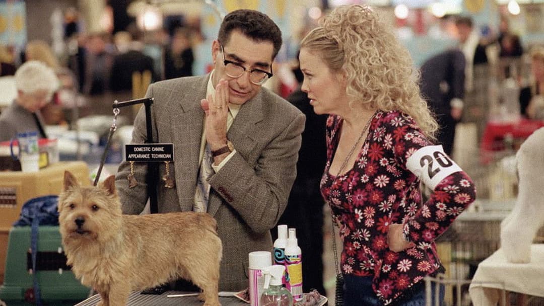 Переможці шоу backdrop 6