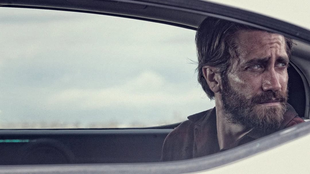 Nocturnal Animals backdrop 20