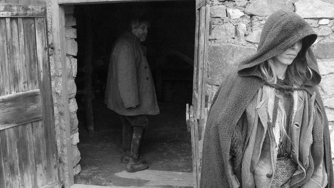 Туринський кінь backdrop 5