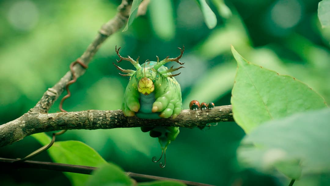 Die Winzlinge - Abenteuer in der Karibik backdrop 4
