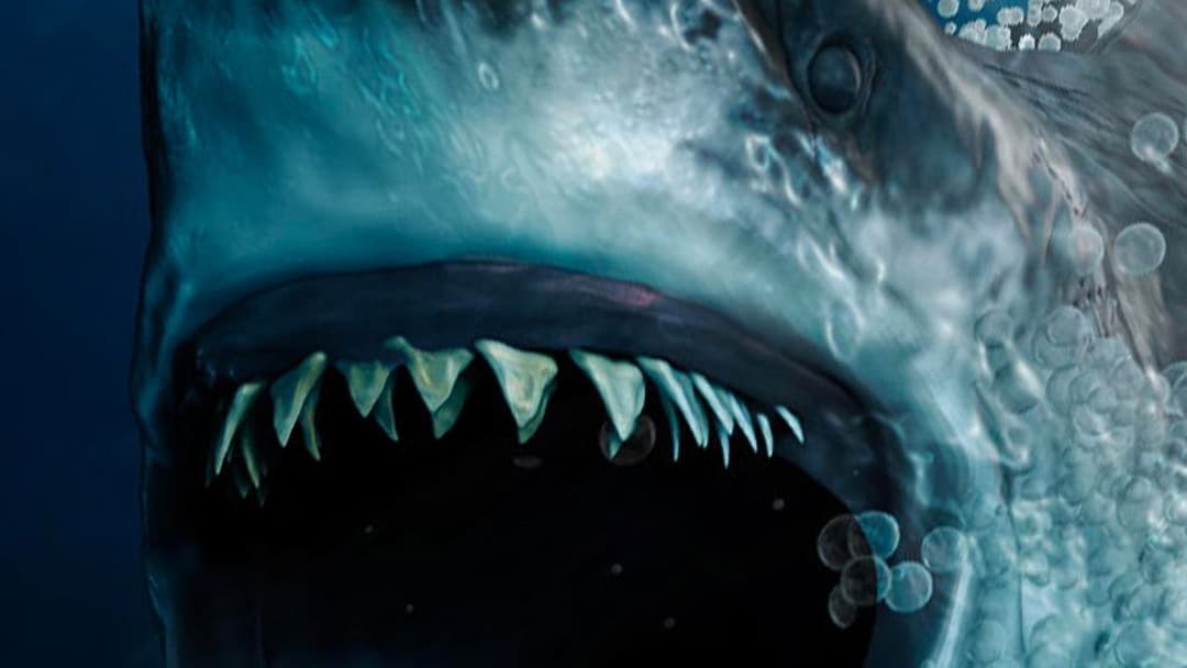 Meg 2 - Die Tiefe backdrop 16