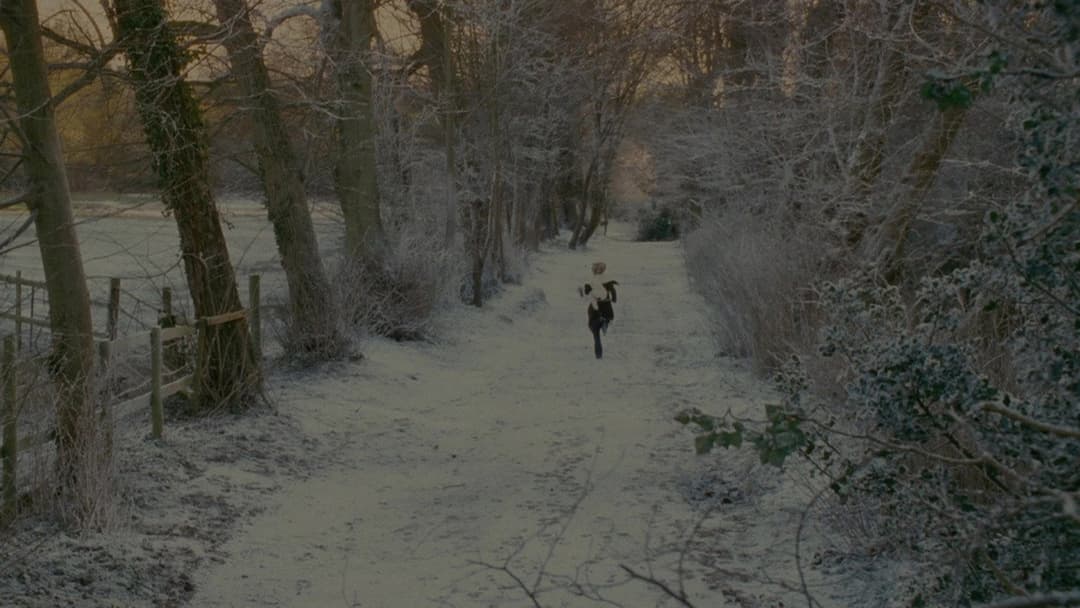 The Holiday backdrop 16