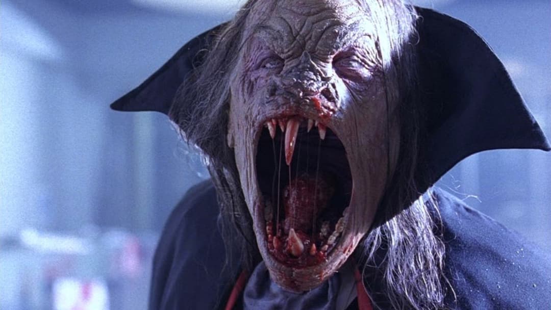 Нічний літун backdrop 4