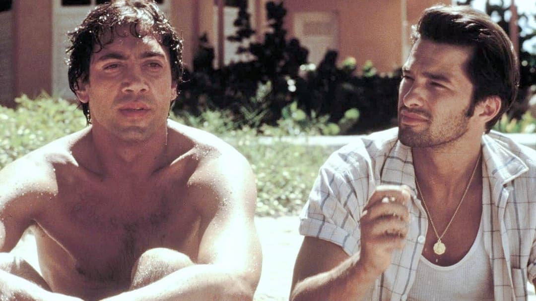 Bevor es Nacht wird backdrop 3