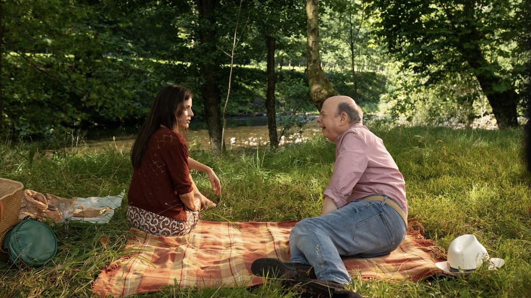 Rifkin’s Festival backdrop 9