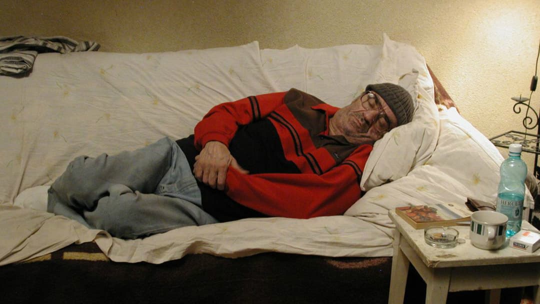 Moartea domnului Lăzărescu backdrop 5