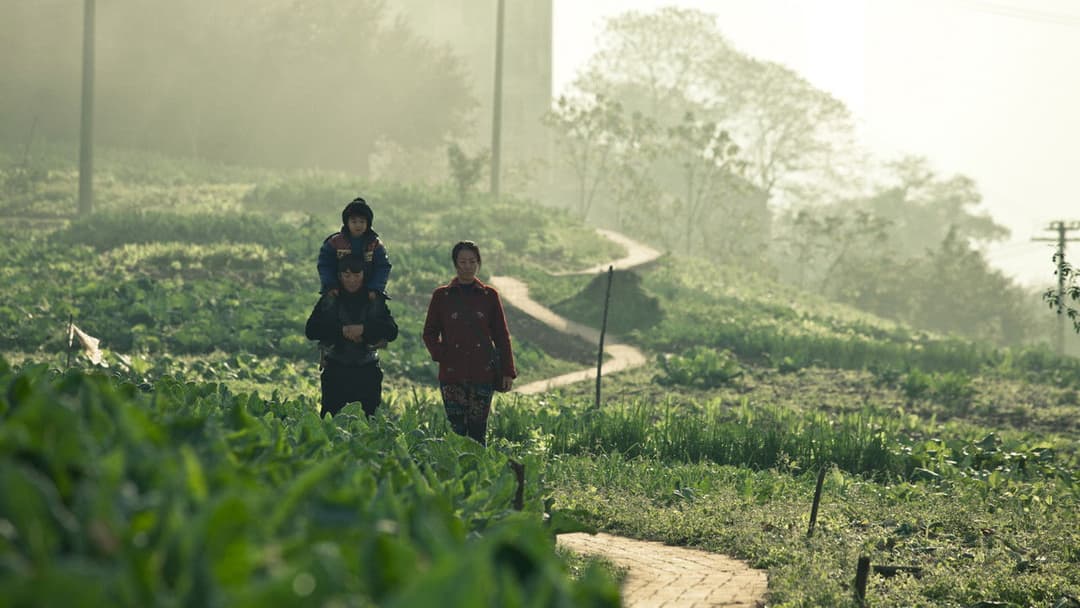 A Touch of Sin backdrop 8