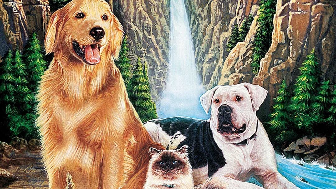 Homeward Bound: The Incredible Journey backdrop 7