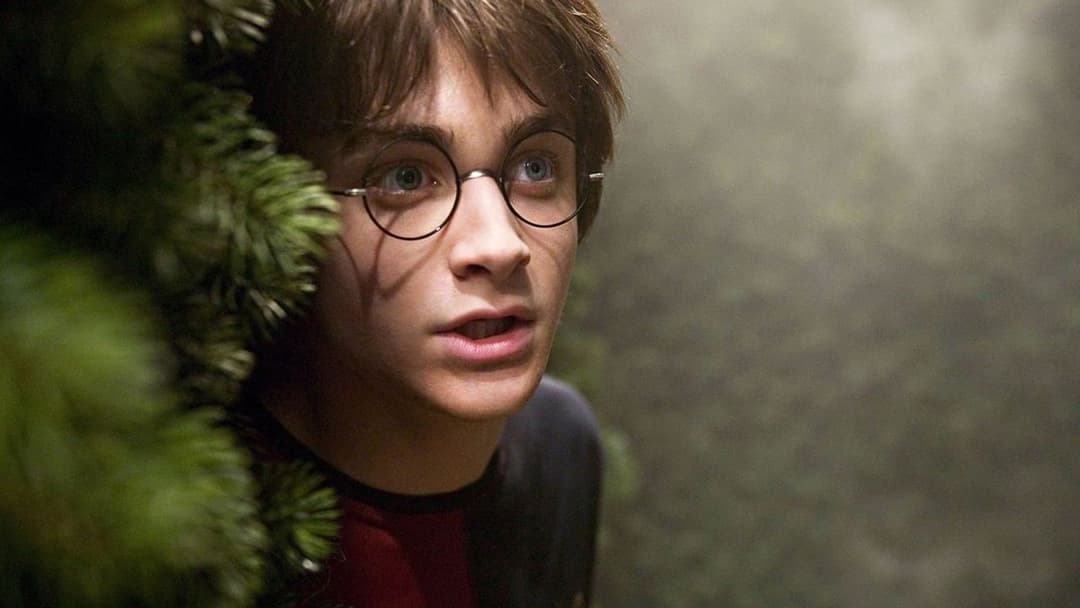 Harry Potter und der Feuerkelch backdrop 4