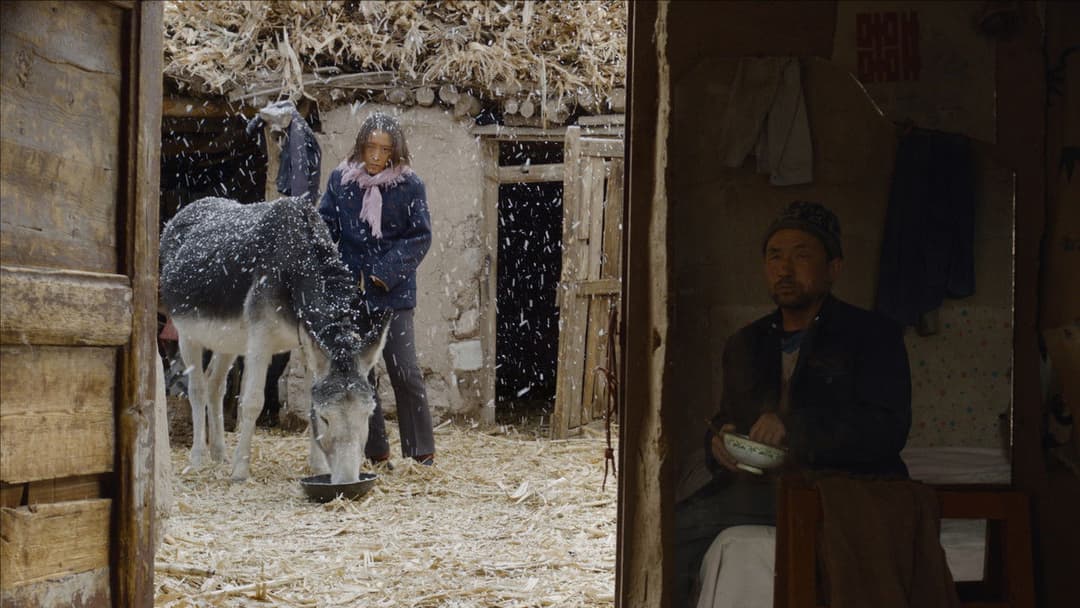 Return To Dust backdrop 15