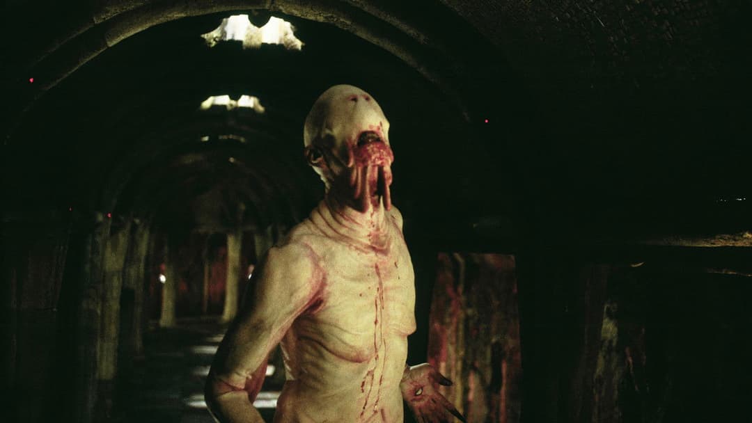 Лабіринт Фавна backdrop 19