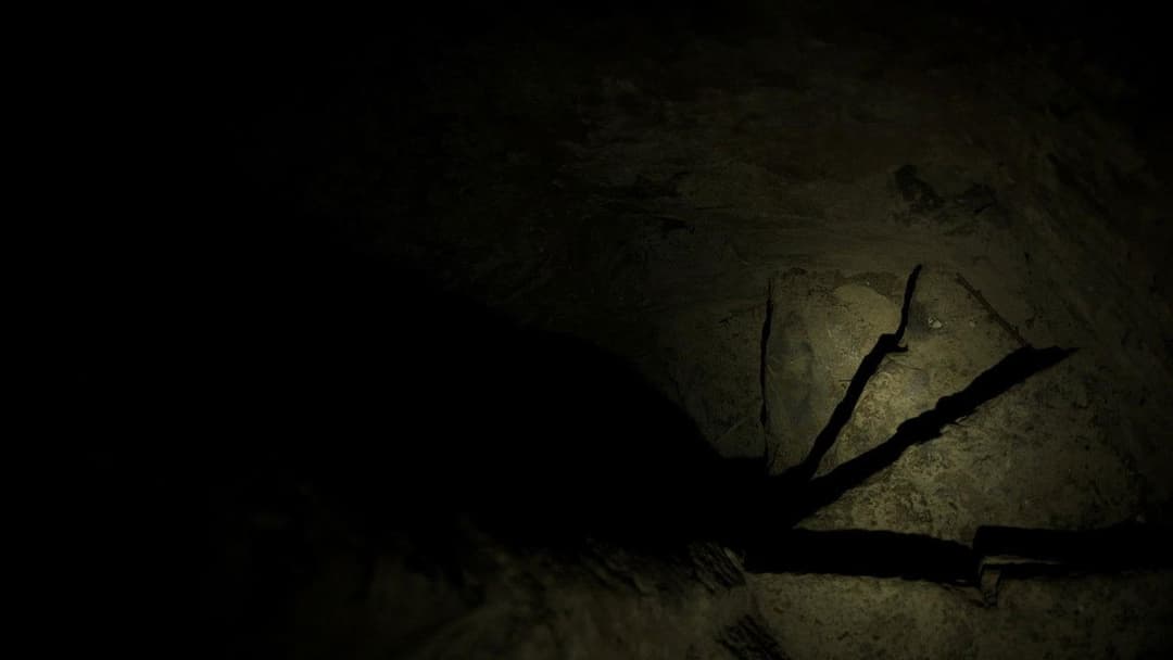 The Borderlands backdrop 7