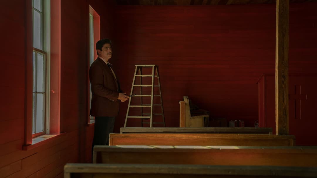 Плазуни backdrop 9