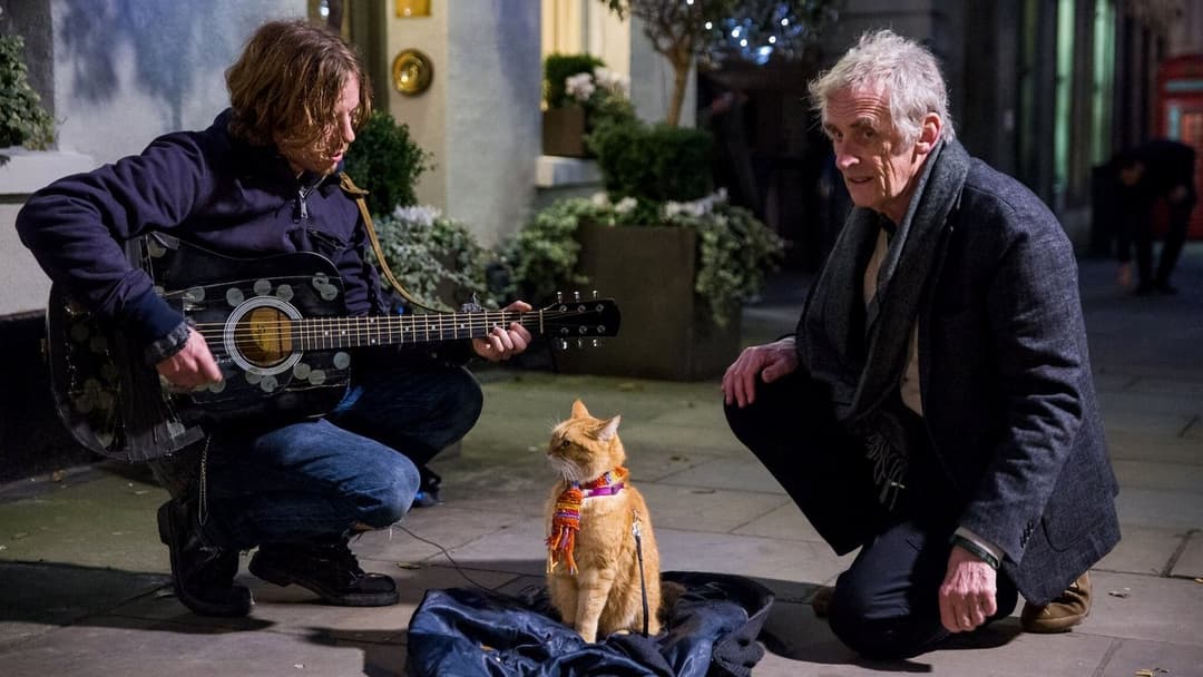 Вуличний кіт на ім’я Боб backdrop 9