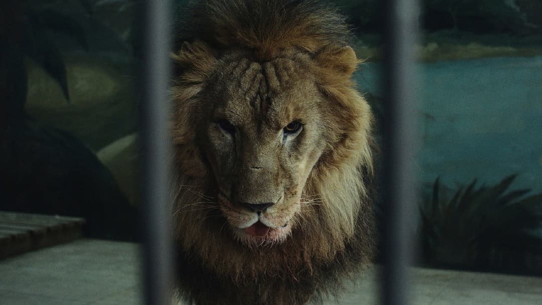 Wild Nights, Tamed Beasts backdrop 3