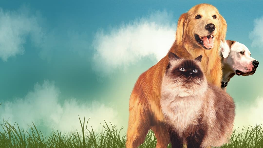 Homeward Bound: The Incredible Journey backdrop 6