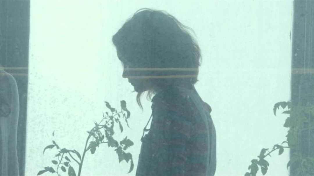 Ich und Earl und das Mädchen backdrop 3