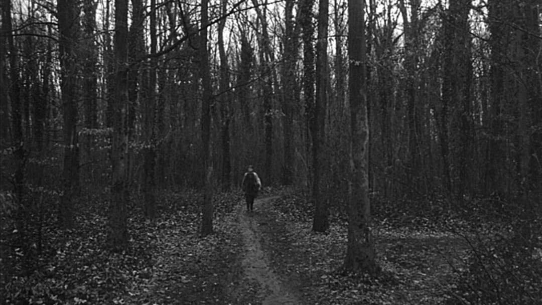 Sátántangó backdrop 11