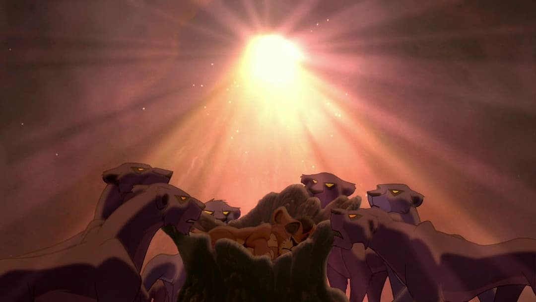 Der König der Löwen 2 - Simbas Königreich backdrop 11