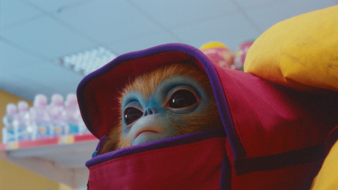 Очі: Легенда Карпат backdrop 11