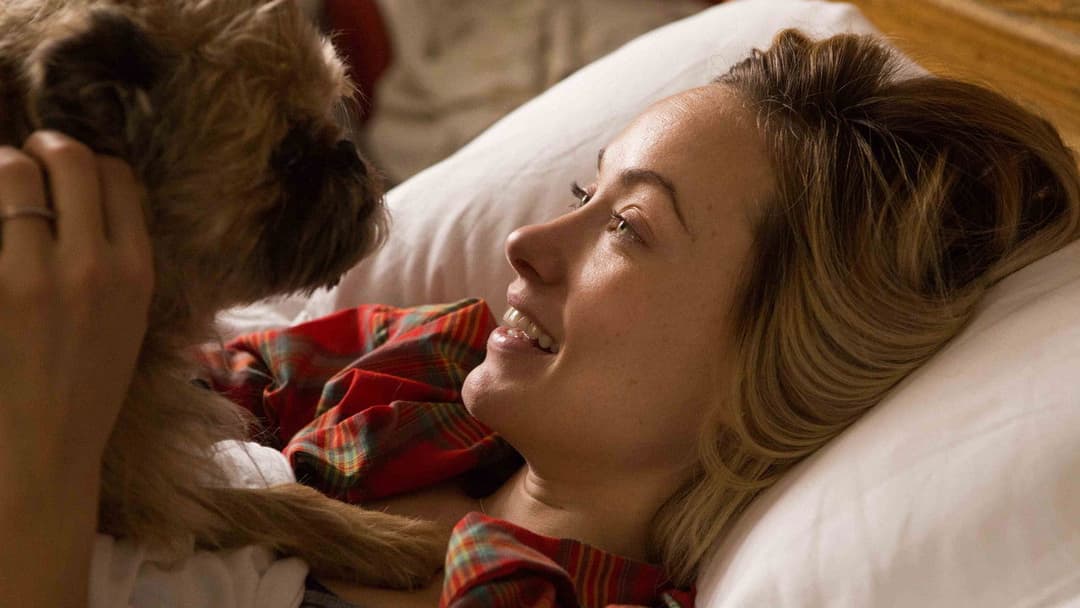 Життя, яке воно є backdrop 6