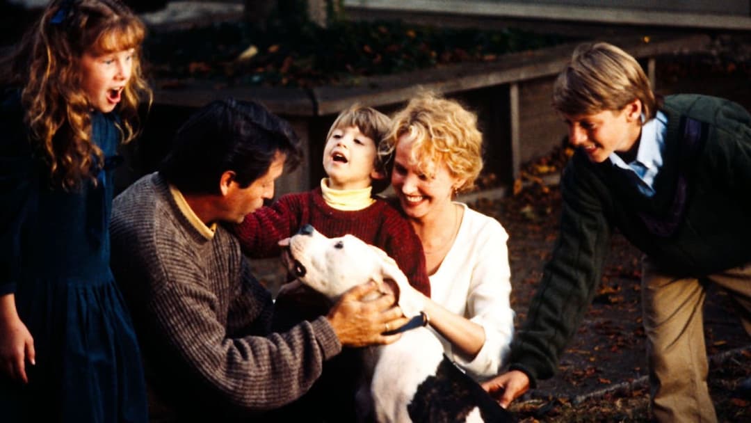 Homeward Bound: The Incredible Journey backdrop 4