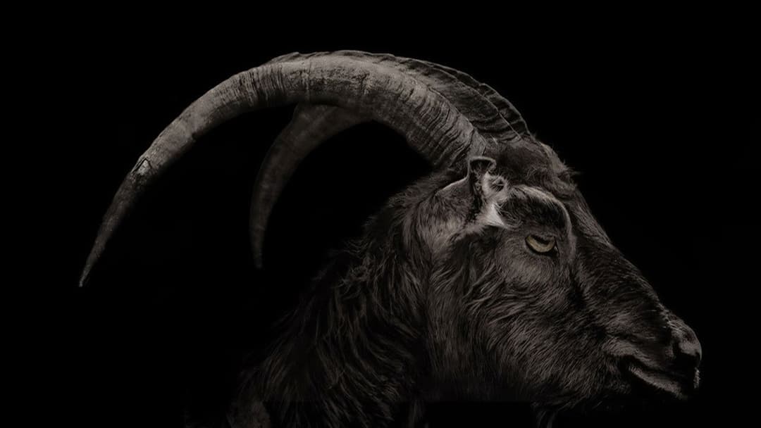 Відьма: Нова англійська казка backdrop 17