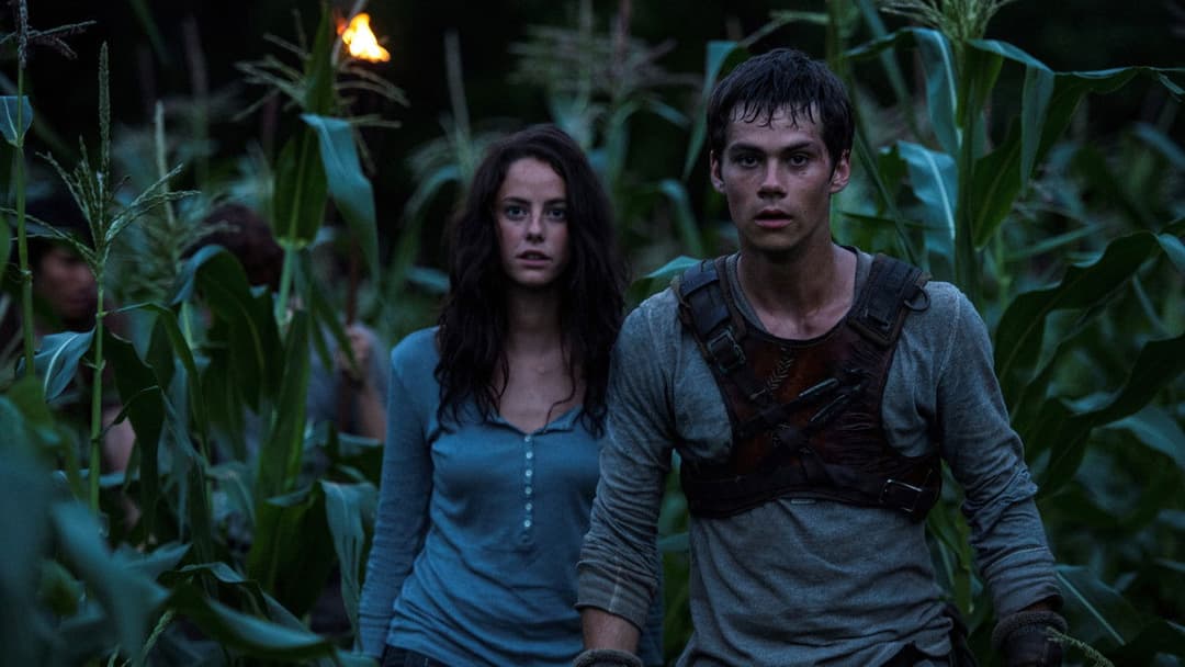 The Maze Runner backdrop 20