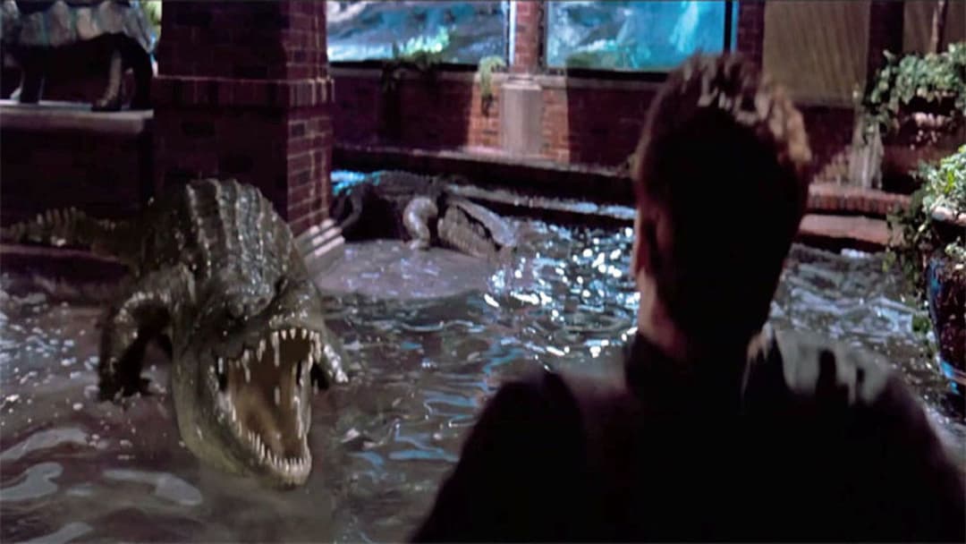 Стирач backdrop 12