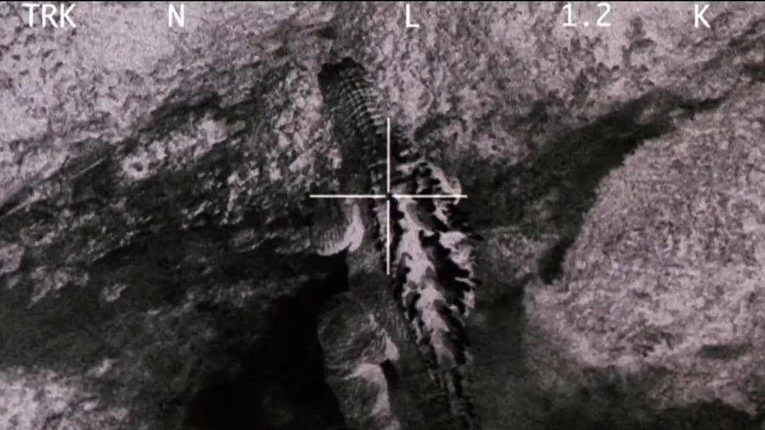 Godzilla, Mothra and King Ghidorah: Giant Monsters All Out Attack backdrop 10