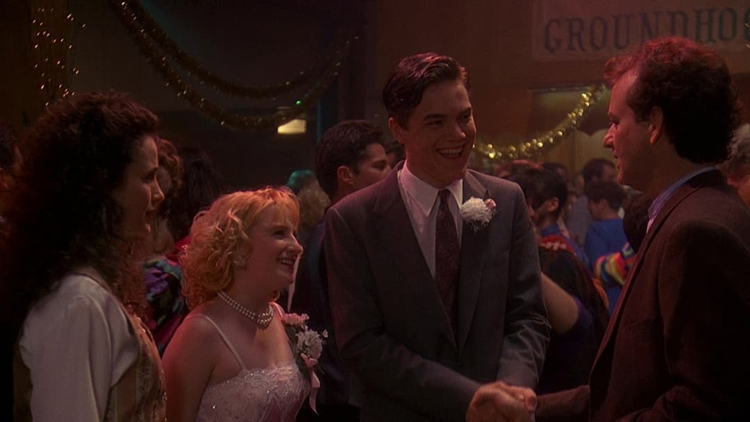 День бабака backdrop 13