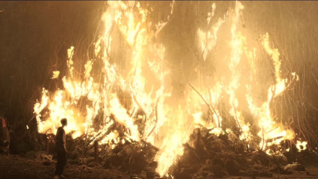 The Girl with All the Gifts backdrop 3