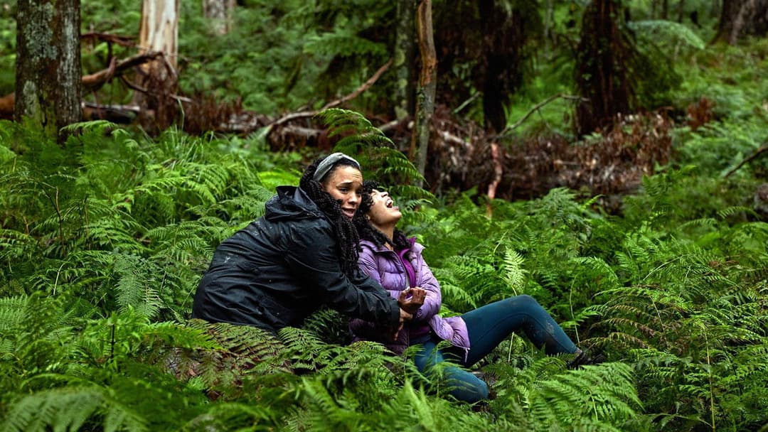 Force of Nature: The Dry 2 backdrop 13