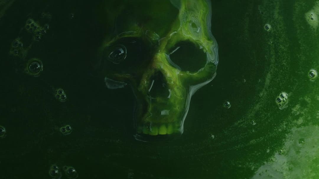 Wake Up Dead Man: A Knives Out Mystery backdrop 14