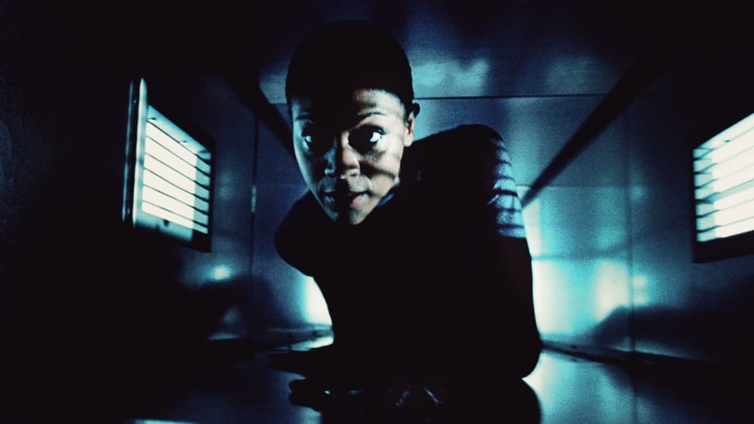 Colombiana backdrop 9