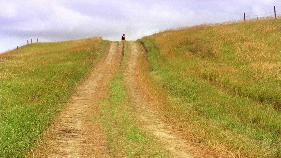 Schrei in der Stille backdrop 2